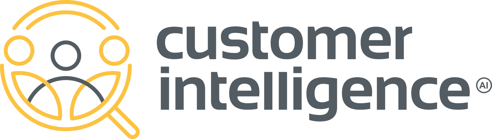 Data Courage - Customer Intelligence
